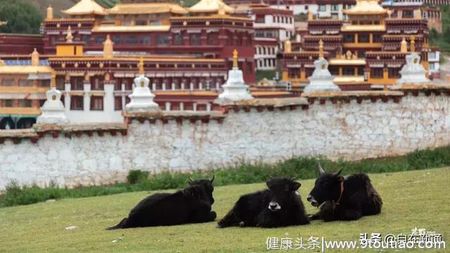 子宫孕育生命，水土滋养生灵