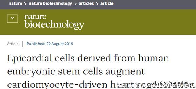 《自然》新突破：有望用病人自己的细胞治愈心脏病