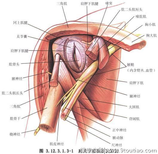 肩膀疼痛，颈椎僵硬怎么练能缓解？这种运动最有帮助