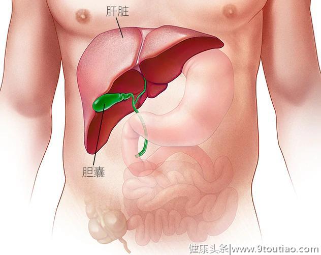 如果你符合这9点，有可能会感染上了丙肝，请查看，值得收藏