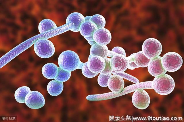 白带异常、外阴瘙痒，妇科炎症怎么办？药师带你了解怎么用药