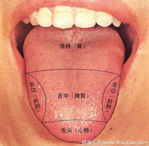 中医讲究的舌象是个啥？小小的舌头隐藏着中医的智慧