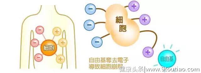 人体內的毒素