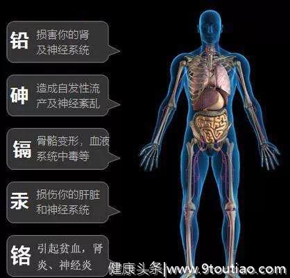 人体內的毒素