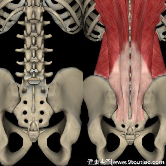 腰疼的赶紧看！知道腰疼的原因，才能对症下药！别乱吃药了！