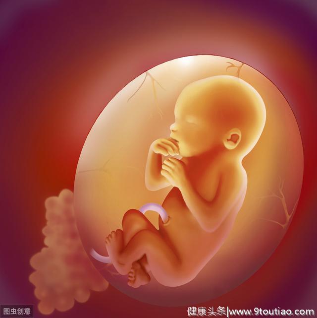 怀孕前三个月最难熬，胎儿怕胎停畸形，孕早期通关宝典，助你好孕
