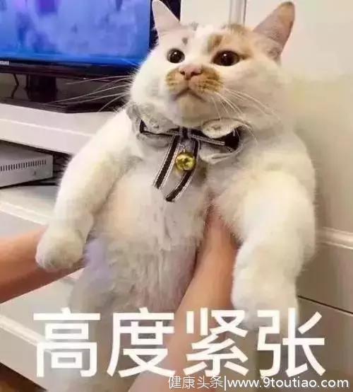 猫咪也会叹气，是心情不好，抑郁了么？