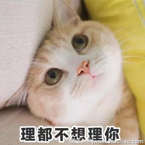 猫咪也会叹气，是心情不好，抑郁了么？