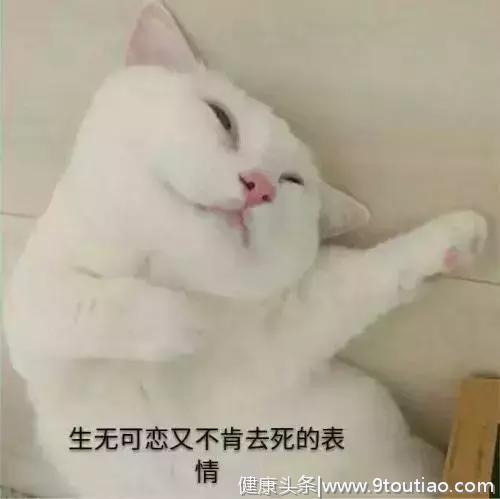 猫咪也会叹气，是心情不好，抑郁了么？