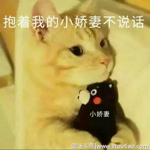 猫咪也会叹气，是心情不好，抑郁了么？