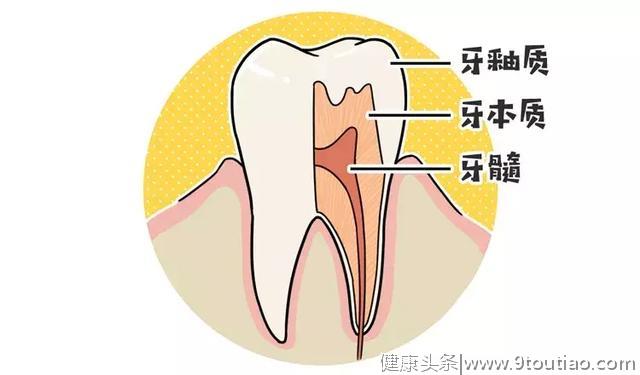 作为人体最坚硬的部位，却最容易坏：五分钟了解你的牙齿