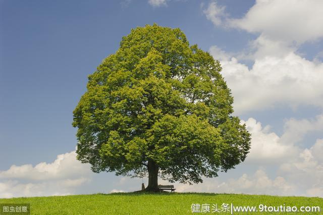 心理测试：在草原上选出一棵树，测你的心态有没有变老