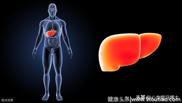 健康科普—高脂血症与脂肪肝的关系