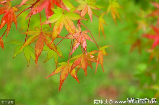 天虽炎热秋已至，谈谈秋天的养生要点