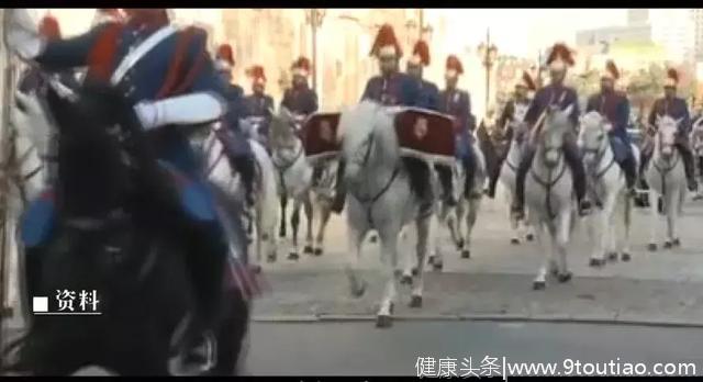 中国大使递交国书，王室的马却“感冒”了