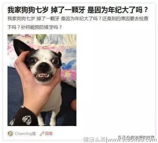 敢不敢算一算，距离你家毛孩子牙齿掉光，还剩几年？