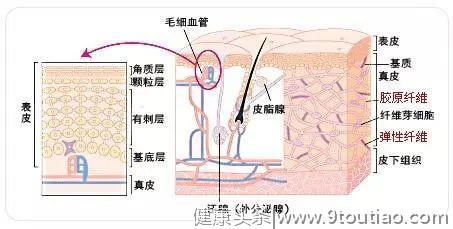 儿童过敏的原因有哪些？该如何康复呢？