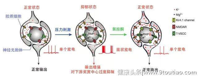 5年探索，中国女科学家捕获抑郁症元凶，成果将拯救数亿人