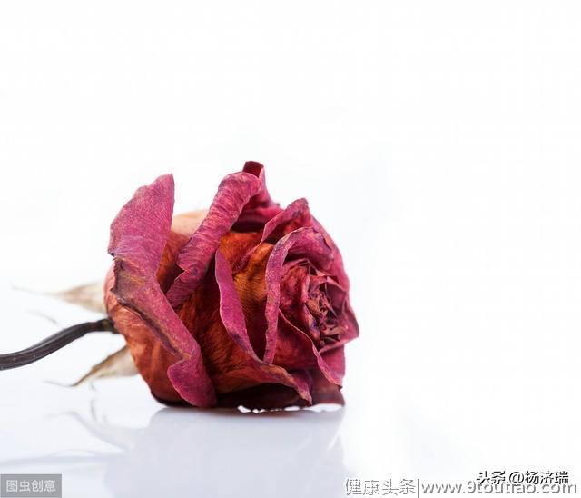 心理学家：4朵玫瑰花，哪朵先凋谢？测出你在今年会被谁伤到心