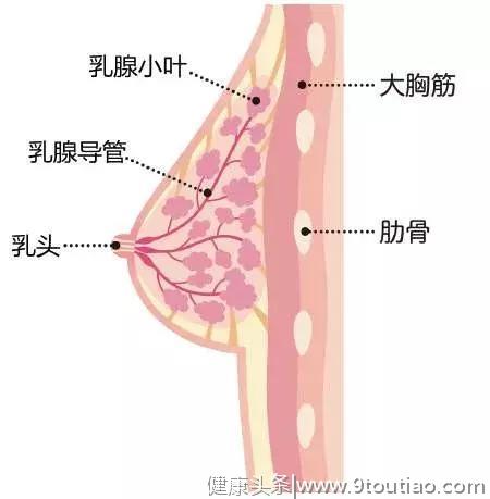 宝妈乳腺不通、乳房结块、涨奶超全解决办法，推拿到食疗一应俱全