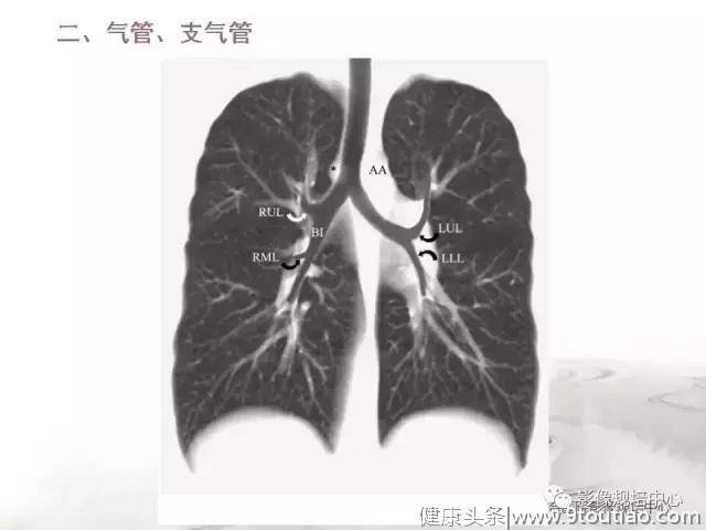 呼吸系统正常表现及基本病变