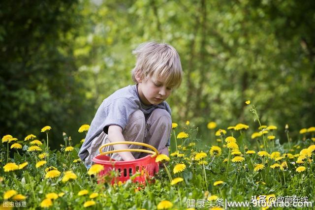 孩子最好的学习场所是大自然，怎么学？做好这四点，提升能力