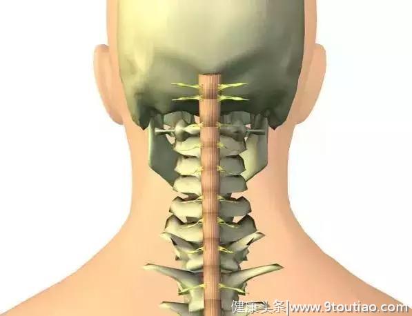 经常脖子痛，颈椎可能出问题了