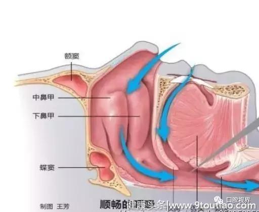 父母必看！不良口腔习惯对孩子牙齿和面部的影响竟然有这么大