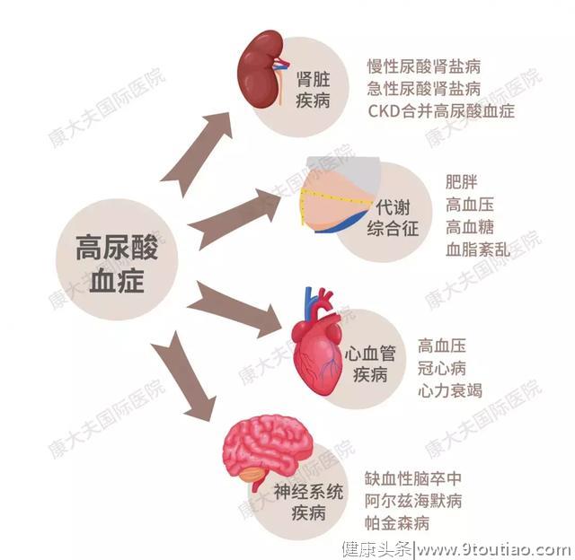 90后姑娘查出尿酸高，专家：饮食也有“红绿灯”，吃什么很重要