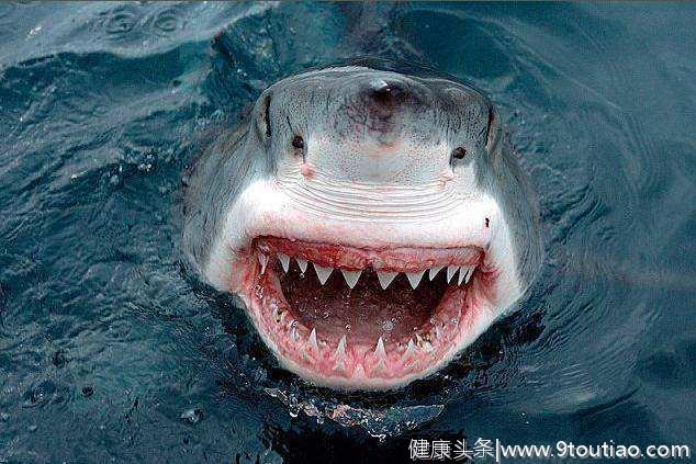 小宝宝竟长了一副鲨鱼“牙齿”，而大人的手指甲遭到网友的批评！