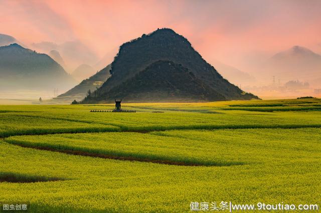 十二星座运势查询8月19日，金牛恋爱有点不顺，水瓶精力旺盛