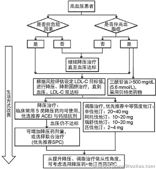 高血压患者的血压血脂综合管理｜指南共识