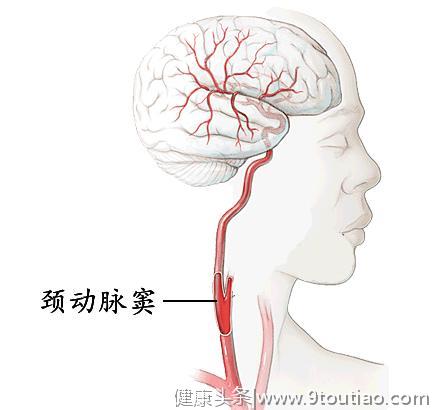 “蛇打七寸”，人身体上这个致命穴位,任何时候都别瞎按