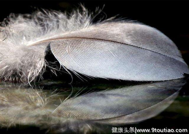 心理测试：你第一眼看中哪根羽毛？测出你内心是恶魔还是天使？