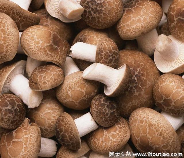 春季吃5款菌菇食谱 健康减肥 轻松瘦
