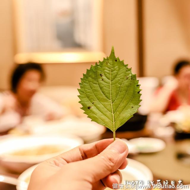 广东旅游吃什么？“桑基鱼塘”蚕桑无骨鱼，品尝岭南水乡的味道