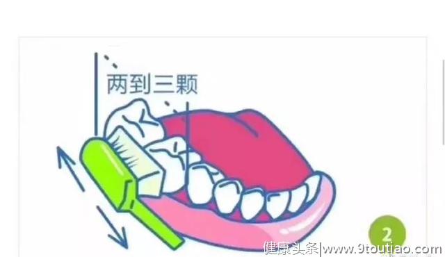 口腔清洁 || 正确的牙齿美白方法