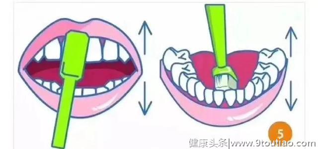 口腔清洁 || 正确的牙齿美白方法
