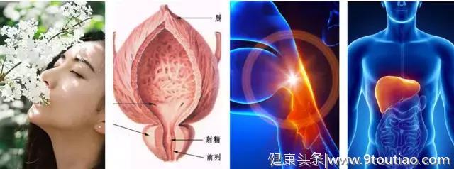 人体器官衰老时间表，您可对照一下