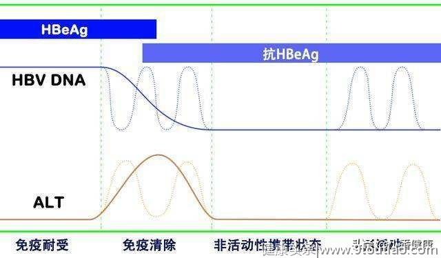 乙肝大三阳分两种，一种基本无症状可耐受，另一种持续进展