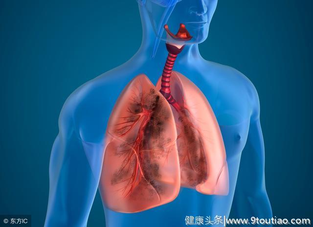 怎么预防肺病？先要知道肺有这5“怕”，尤其第5个，很多人忽视了