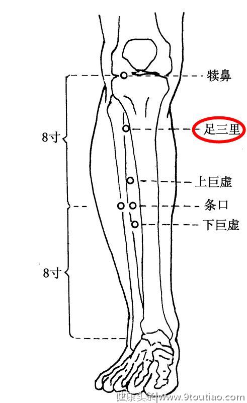 便不出来？找出平时坏习惯，配合按摩穴位通便