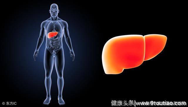 检查出脂肪肝如何调理？做好这3点，“脂肪”自动消下去