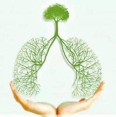 呼吸系统疾病的日常预防
