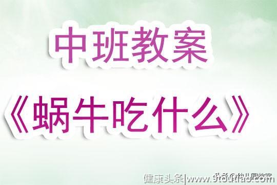 幼儿园中班教案《蜗牛吃什么》含反思