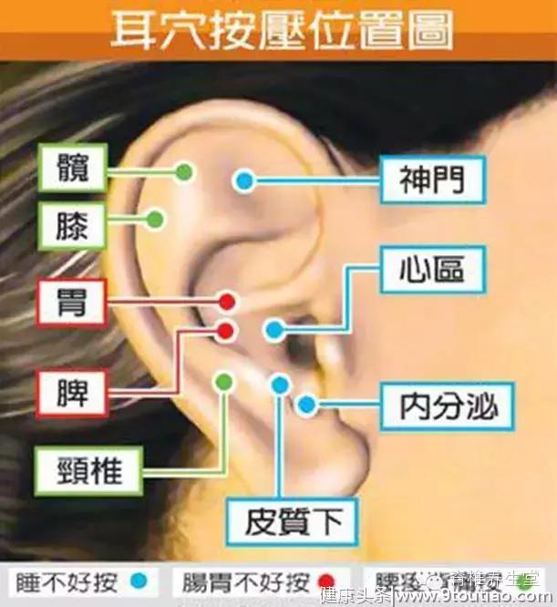 太难找的穴位保健手册，最全人体穴位解秘！