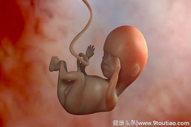 辟谣：怀孕时间越长胎儿越聪明？这种想法太危险，可不能有