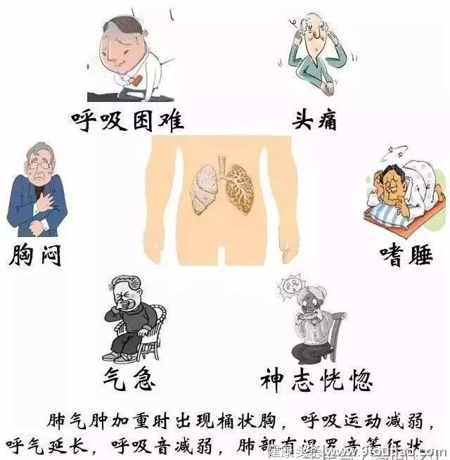 人类的第四大致死原因是哪个？