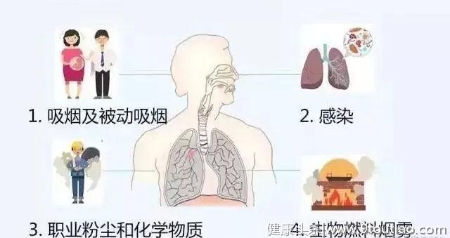 人类的第四大致死原因是哪个？