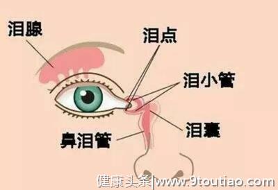 儿童常见的“四类”眼疾，容易致视力模糊